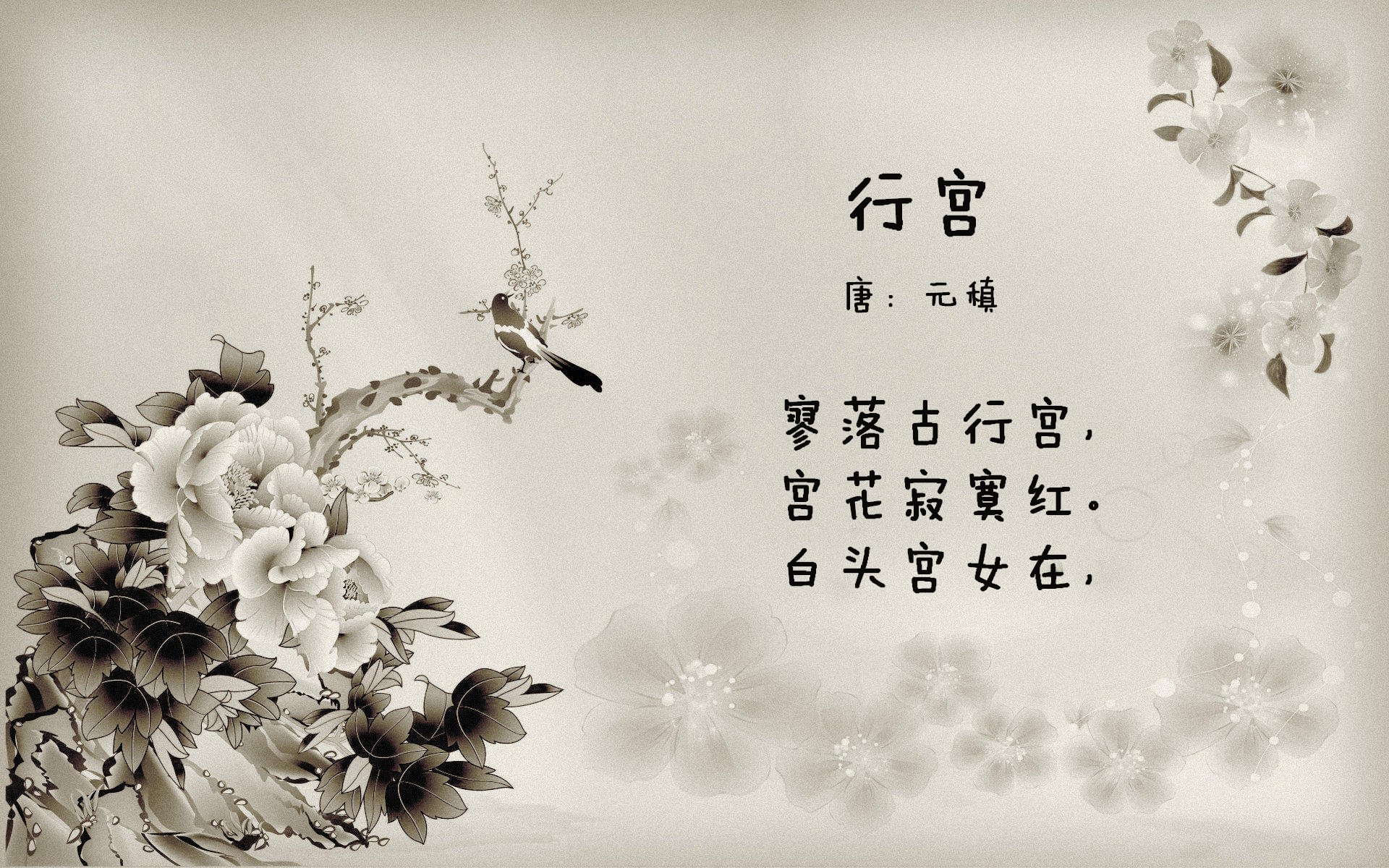 _森林狼焕发新活力，逐步追赶季后赛席位_，森林狼季后赛战绩