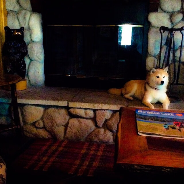 开云电子竞技-_篮球迷狂欢夜：明星球员线上互动助兴_，篮球迷聚集地综艺