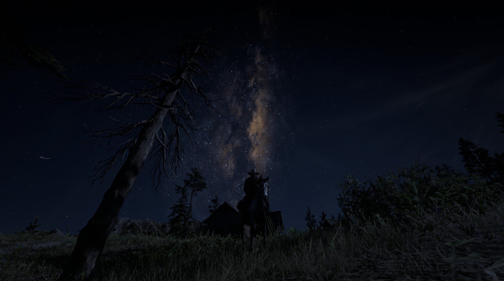 开云在线直播-墨西哥马术队在巴黎奥运会盛装舞步赛中获得第十名，成绩可圈可点。