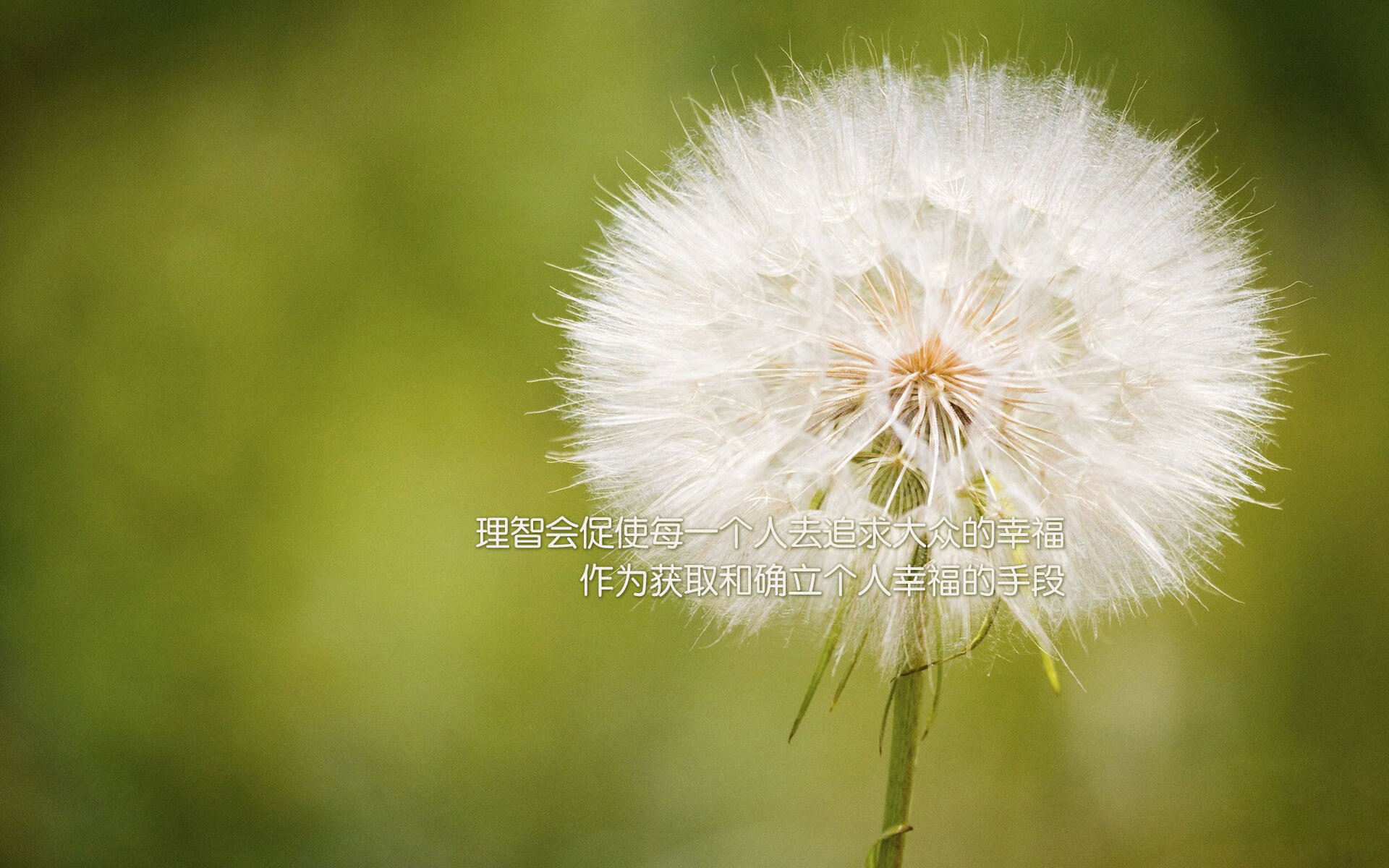 开云体育网页版入口-太阳能赛车：能源革新的未来方向，太阳能赛车电路原理图